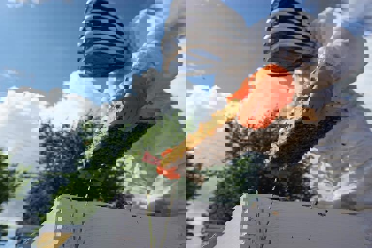 Secret Rooftop Apiary Produces Award-Winning Honey Above the Urban Bustle